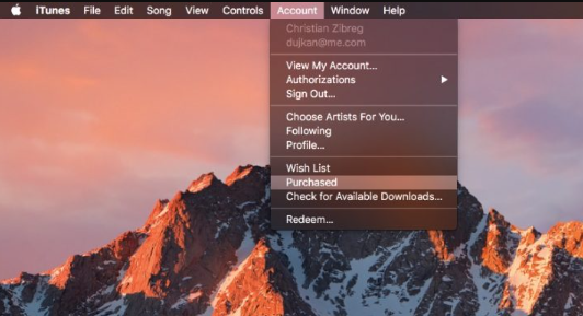 尝试从计算机上的 iTunes Store 重新下载音乐