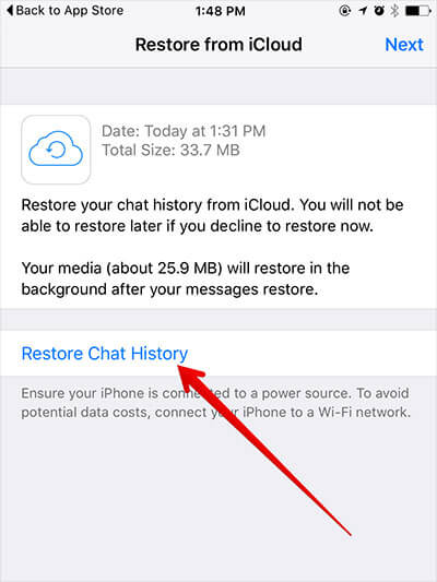 使用 iCloud 从 iPhone 恢复已删除的 WhatsApp 音频消息