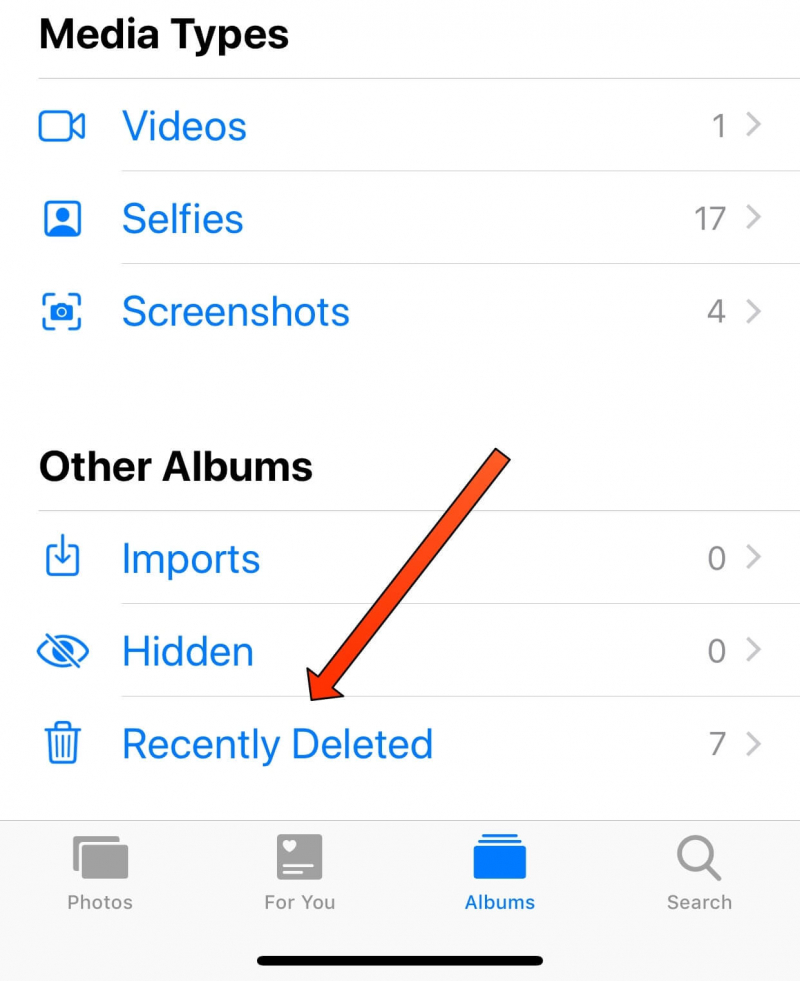 使用最近删除的相册在 iPhone 上获取最近删除的照片