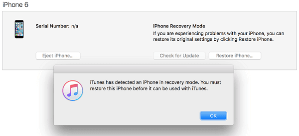 与iPhone在恢复模式，用于修复，密码忘记