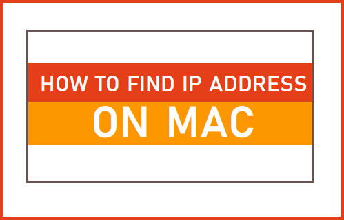 在Mac上查找IP地址查找