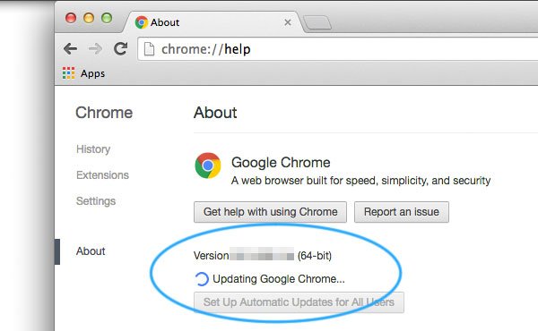 为什么 Chrome 下载停留在 100