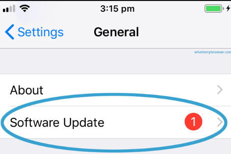 在 iOS 设备上运行更新