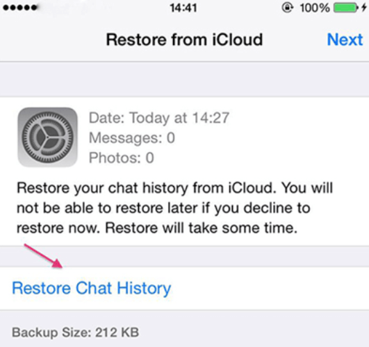 在 iOS 上恢复已删除的 WhatsApp 消息
