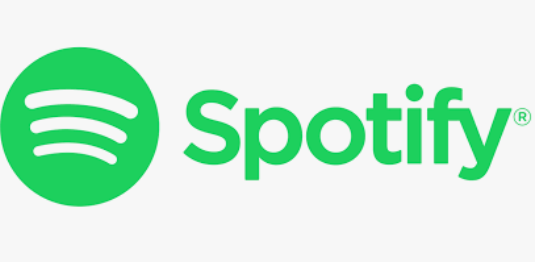 适用于 iPhone 的最佳离线音乐传输：Spotify