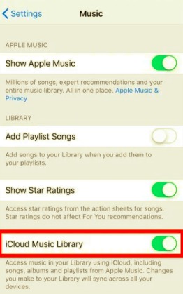 验证 iCloud 音乐库是否已打开以将音乐同步到我的 iPhone