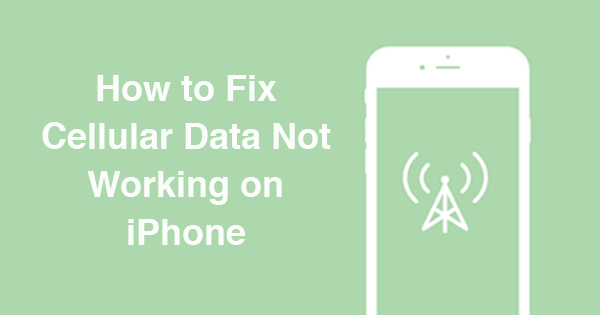 修复移动电话数据无法在Iphone上工作