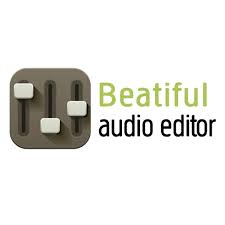 使用 Beautiful Audio Editor 在 Chromebook 上录制音频