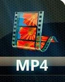 Instagram 视频转换器 - Video Converter.MP4