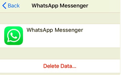 删除 WhatsApp iCloud 数据以擦除 WhatsApp 备份