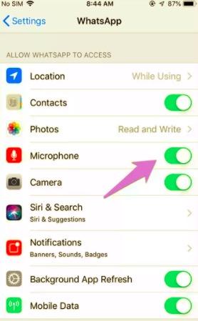 允许 iPhone 麦克风权限修复 WhatsApp 语音或视频通话无声音